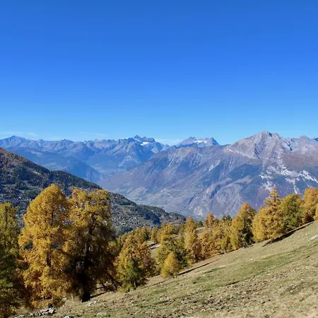 Pracondu 1 407 - Outdoor & Fun 6 Pers Lägenhet